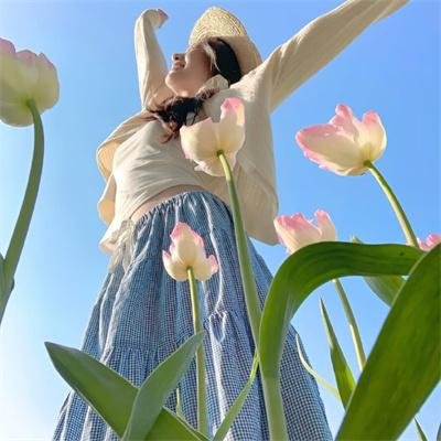鹡鸰女神第一季